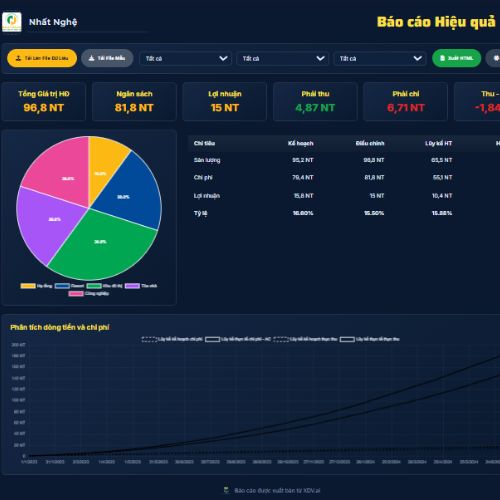 Báo cáo hiệu quả dự án